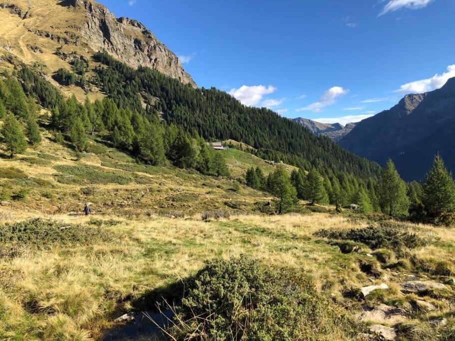 Wohnung Mit Bergblick Im Haus Sonne Райт-бай-Зеефельд Экстерьер фото